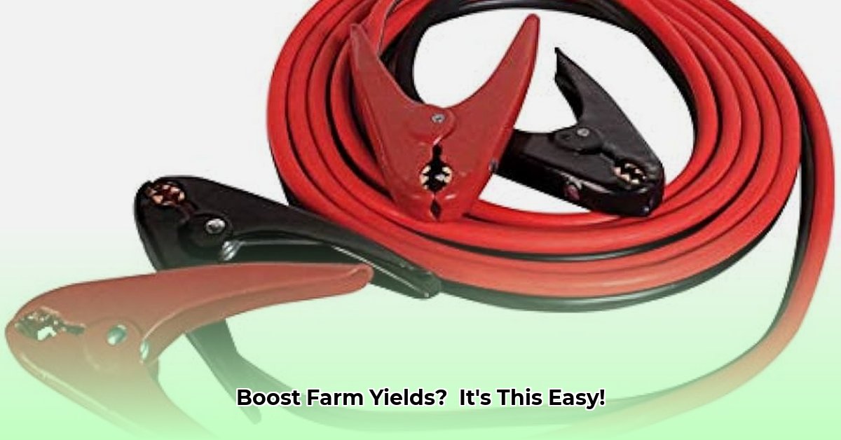 jumper-cables-tractor-supply